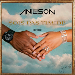 EXTRAIT Dj Anilson - Sois pas timide (Gims) Remix Afro mp3