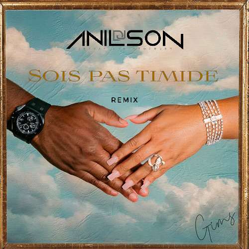 EXTRAIT Dj Anilson - Sois pas timide (Gims) Remix Afro mp3