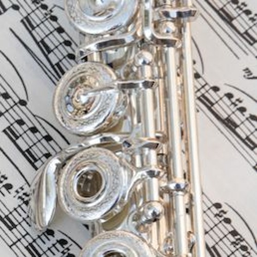 Beginner Flute Diary - 6 Months + 7 Days