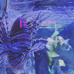 Thought of a quick upload. House set by ArthørnDubs