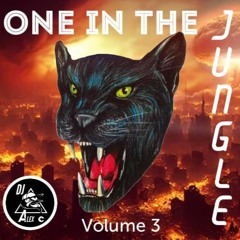 ONE IN THE JUNGLE Vol 3