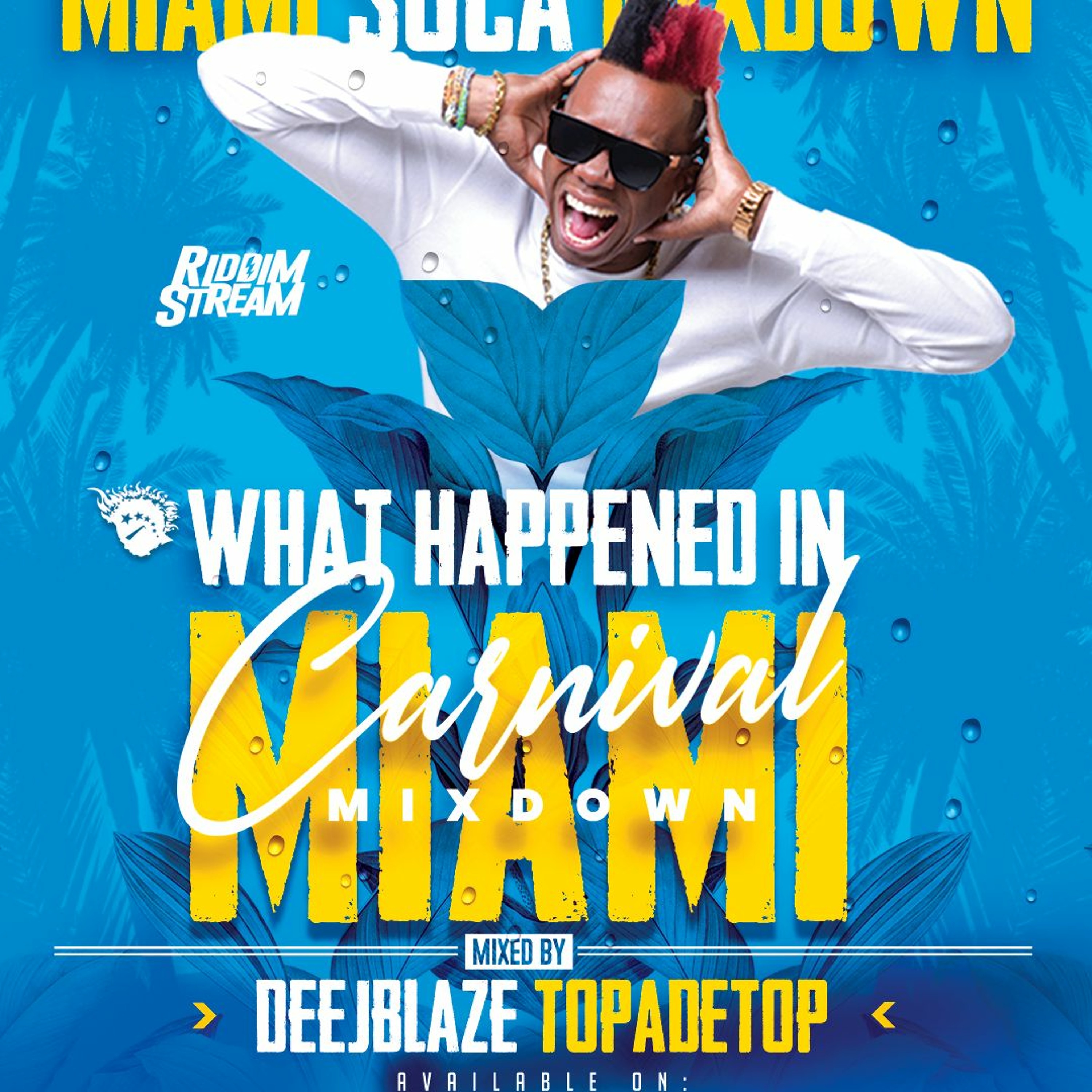 Deejblaze Mad Dj Mixes