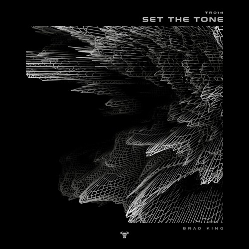 TR014 - Brad King - Set The Tone