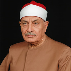 mohamd-mahmod-3asfoor (76)