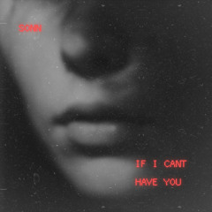 If I Cant Have You