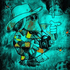 Rollin Riddims