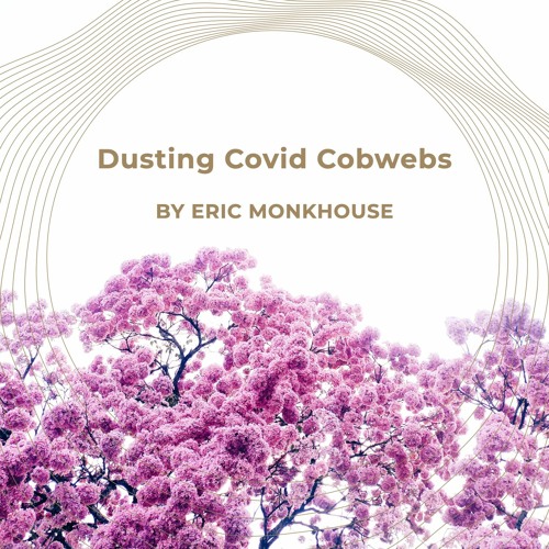Dusting Covid Cobwebs