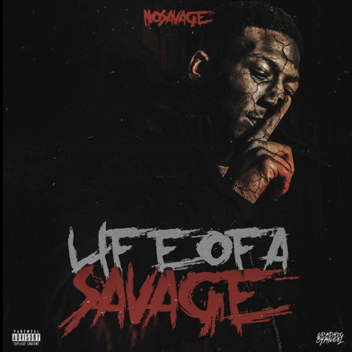 No Savage - 2 Lit