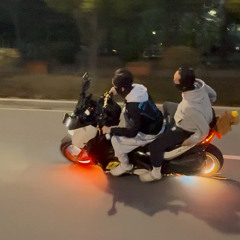 양메인 전용