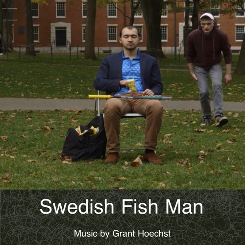 Stream Fish Fight by Grant Hoechst Listen online for free on SoundCloud