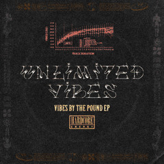 Unlimited Vibes - Crow Road