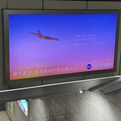 君