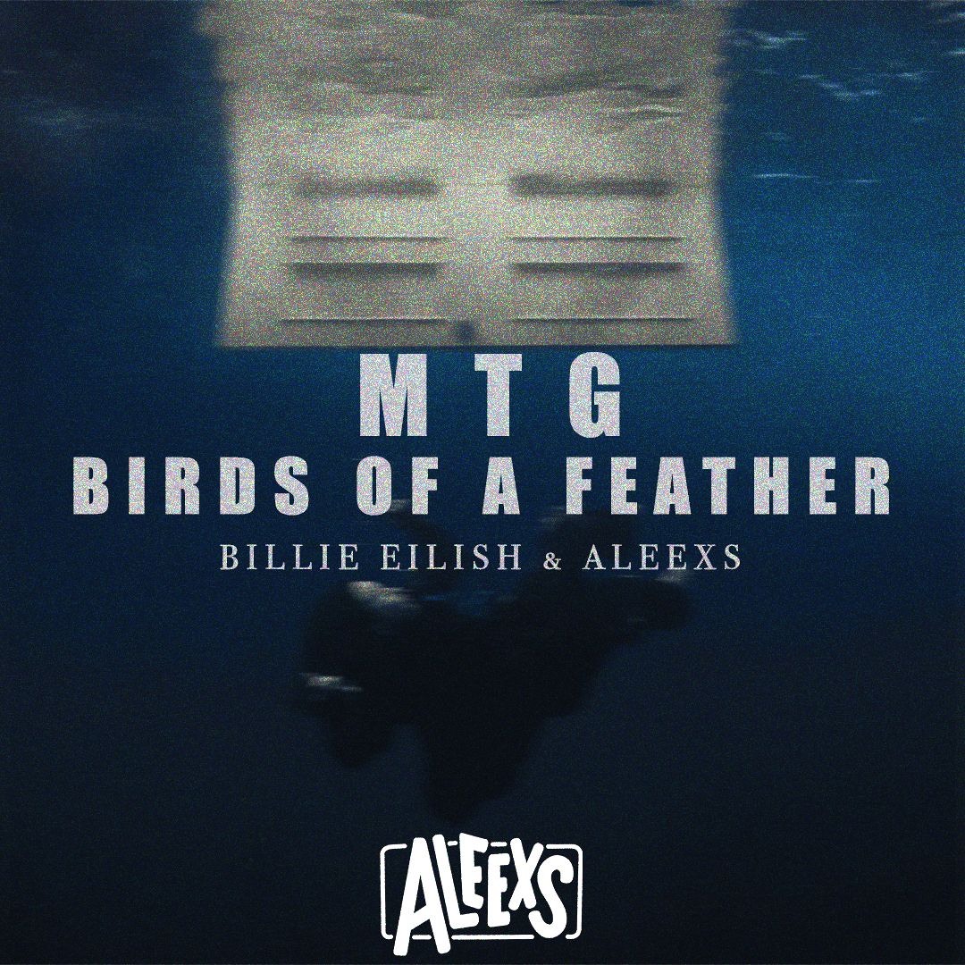 Stream MTG - BIRDS OF A FEATHER ((ALEEXS REMIX)) - BILLIE EILISH