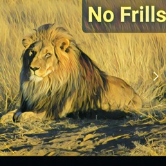 No Frills House Party