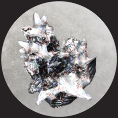 Go Hiyama - Two Conclusive Opinion (Radial Barrel-Aged Remix)