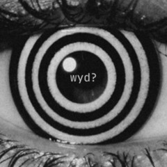 Danny Singh - WYD? (on the radar)