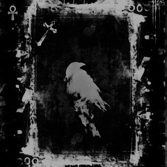 VØLK - ZOMM