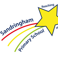 SANDRINGHAM PRIMARY SCHOOL LEAVERS PARTY 2025