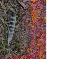 Shadowtalkin' {DEMO}