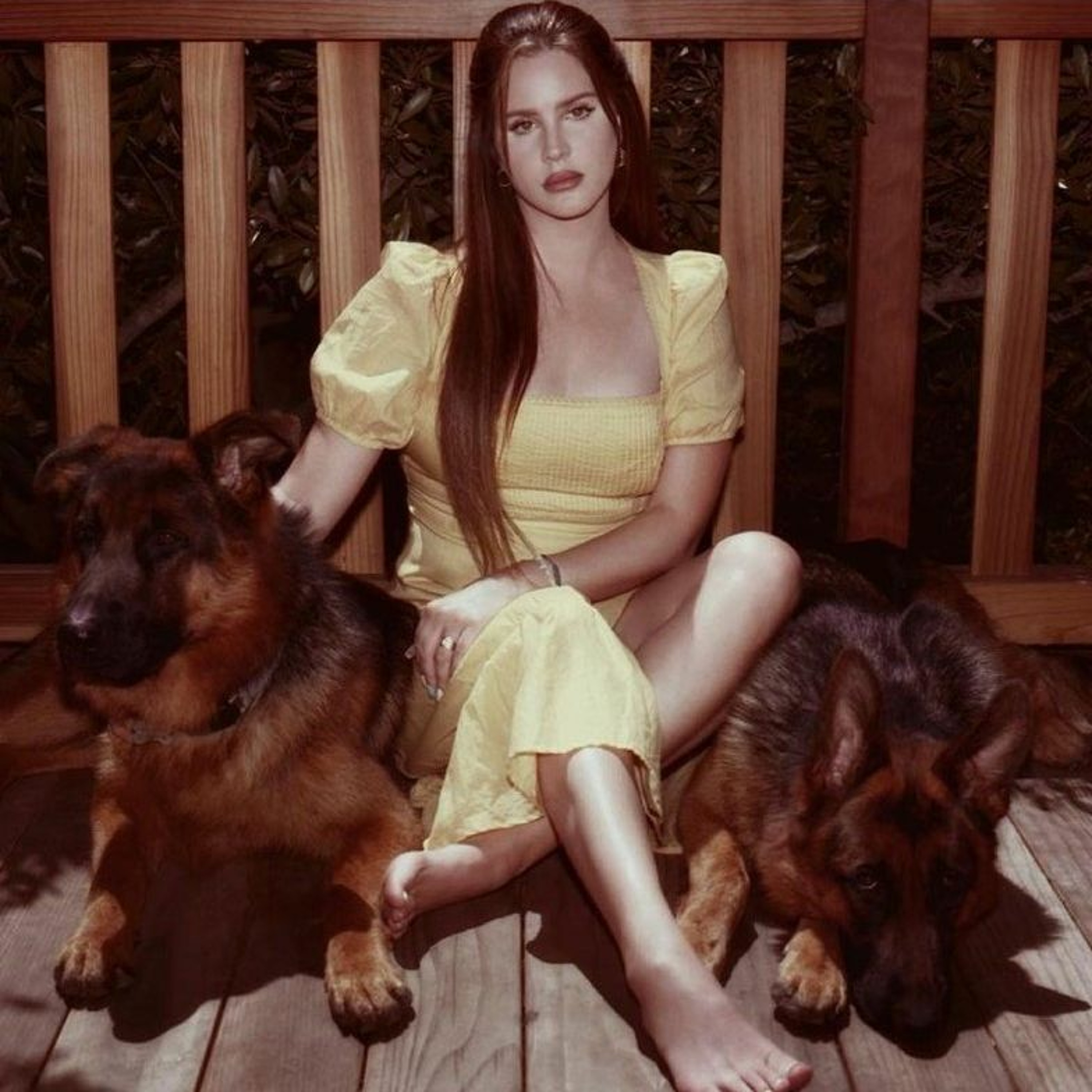 Rodriguez Jr. feat. Lana Del Rey - Violets for Roses (J.Young Vocal Remix) thumbnail