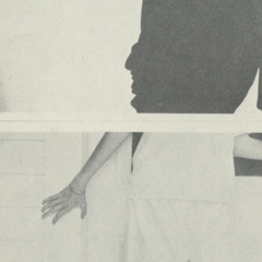 Above My Knees (WKCO live)