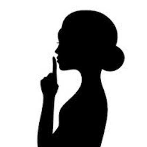 Silence & Secrets  233