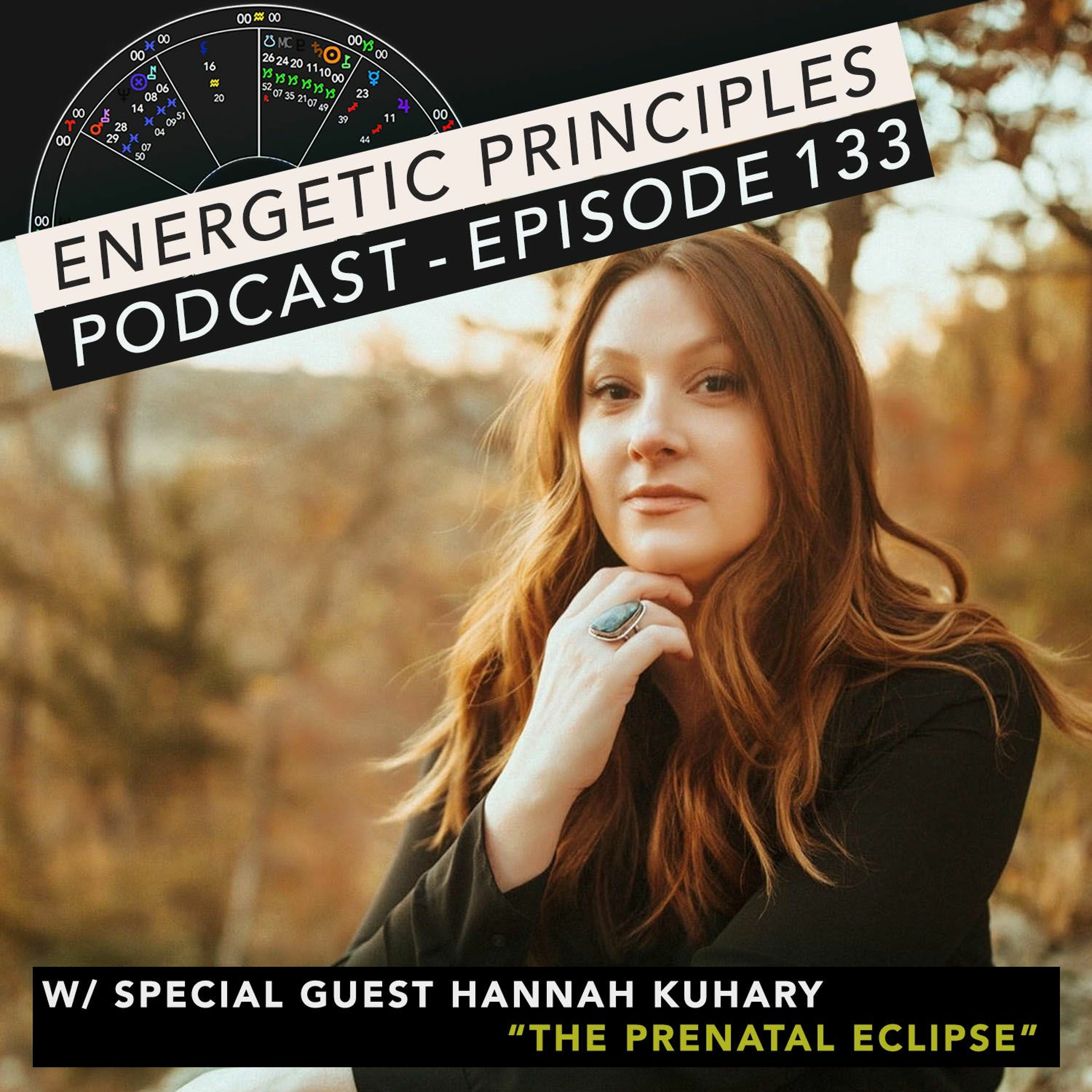 Energetic Principles Podcast