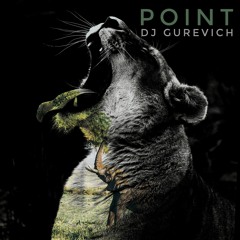 Dj Gurevich - Point