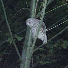 Sunday, 9h16m PM.m4a