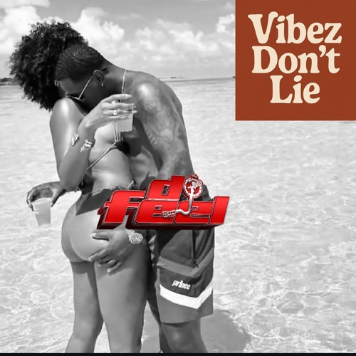 Vibez Don't Lie R&B Only