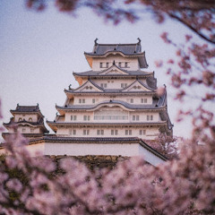 桜.