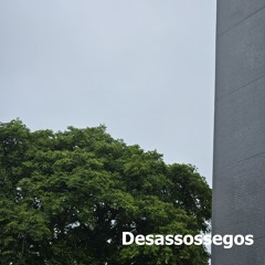 Pássaros