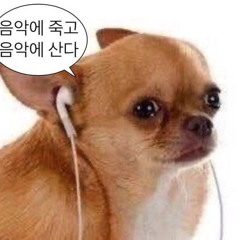 스윙스- 듣고 있어?