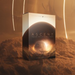 Viral Audio - Troublemaker