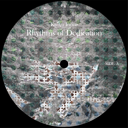 Rhythms of Dedication (Excerpt)