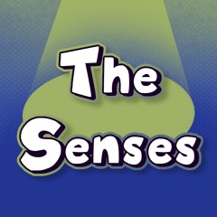 The Senses (Instrumental Remix/Cover)