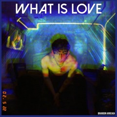 What is love x Brandon Arreaga
