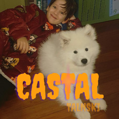 ⋆｡CASTAL⋆｡°