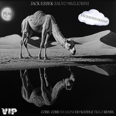 PREMIERE: Jack Essek, Salvo Migliorini  - Enchanted Desert (Ed Noodle Remix) [Buddha VIP Records]