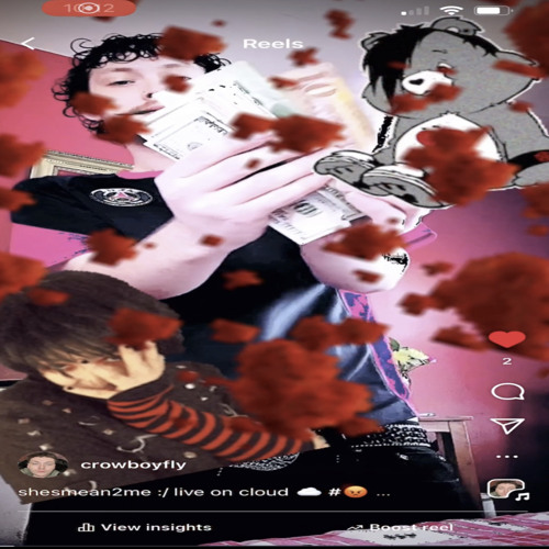 crow ~ shesmean2me :/