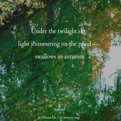 light shimmering on the pond [naviarhaiku595]