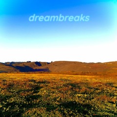 dreambreaks mix