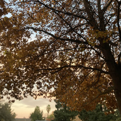 nothing really changes (lonecrow)