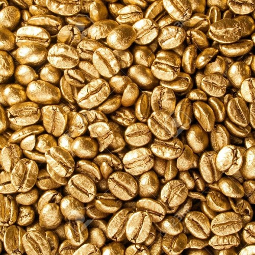 Gabo Parranda - ☕☕☕☕☕☕