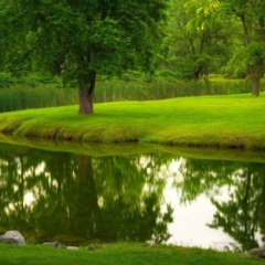 อาชญากรรมอาชญากรรมอาชญากรรมอาชญากรรม cinematic background music DOWNLOAD
