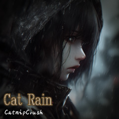 Cat Rain