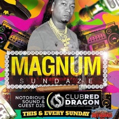 NOTORIOUS INT SOUND "DJ MAGNUM🇬🇾/SEENUP🌏" @MAGNUM SUNDAZE "CLUB RED🚩 DRGAON🐲 3RD AUGUST 25.mp3