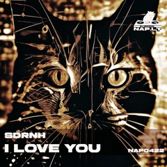 SDRNH  - I Love You ( Original mix)