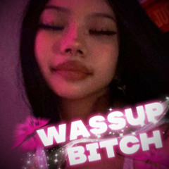 Wassup Bitch (feat. Eryxse, Sleet, makeoutcy)