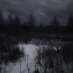 nobody (prod.ambientarchive)